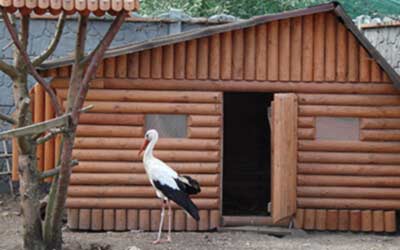 stadnina koni starachowice